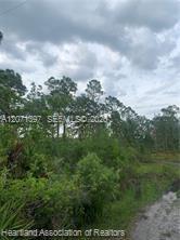 Ver detalles / sq. ft. $ 2026-08-14 0 foto