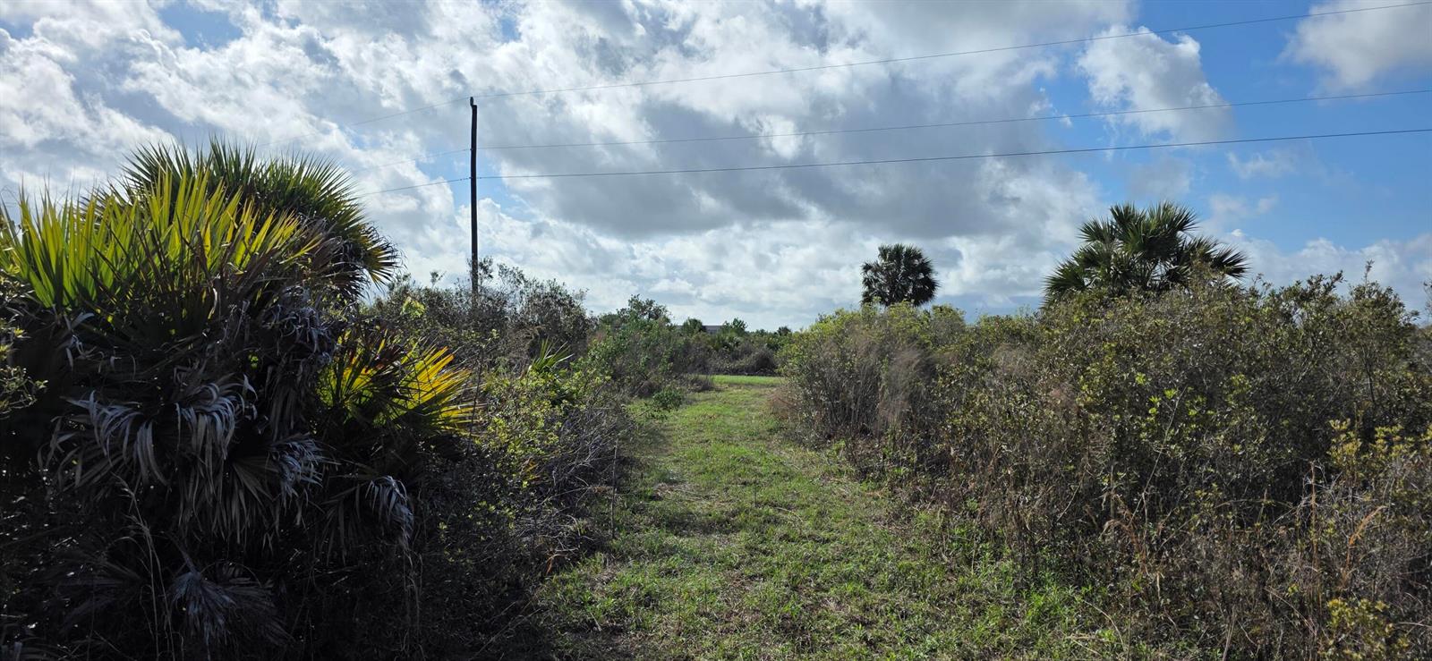 See details / 0 sq. ft. $ 2026-08-25 0 Photo