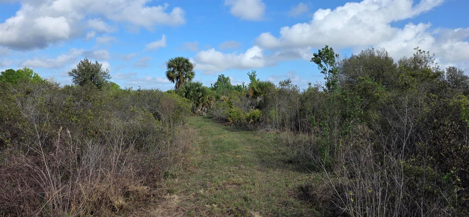 See details / 0 sq. ft. $ 2026-08-25 0 Photo