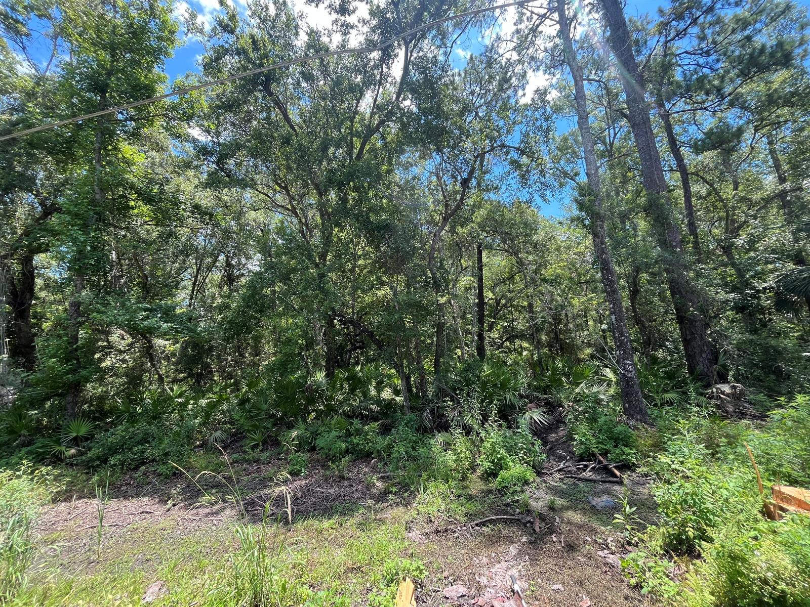   / 0  sq. ft. $ 2026-08-18 0 foto