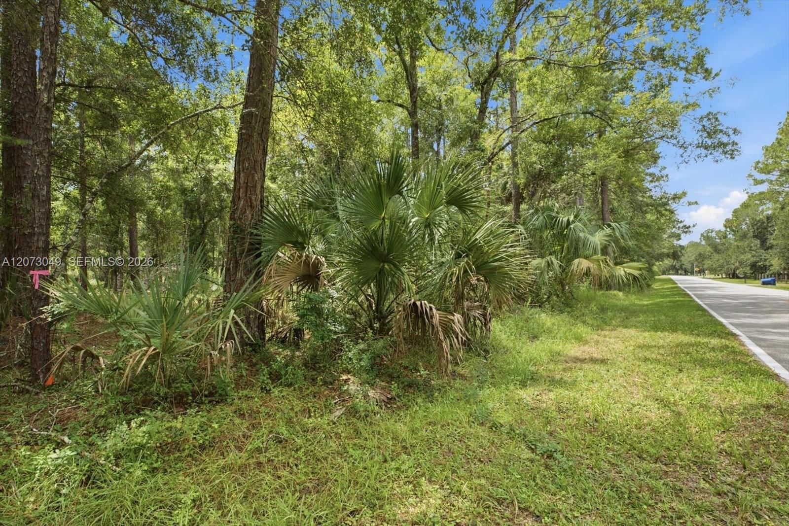 See details / sq. ft. $ 2026-08-18 0 Photo