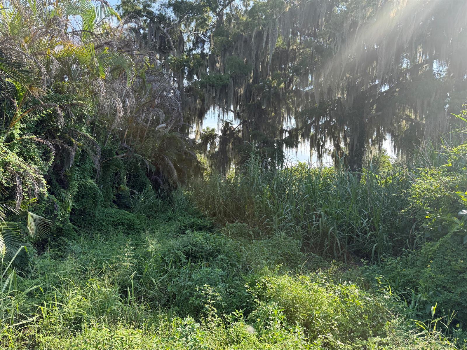   / 0  sq. ft. $ 2026-08-20 0 foto