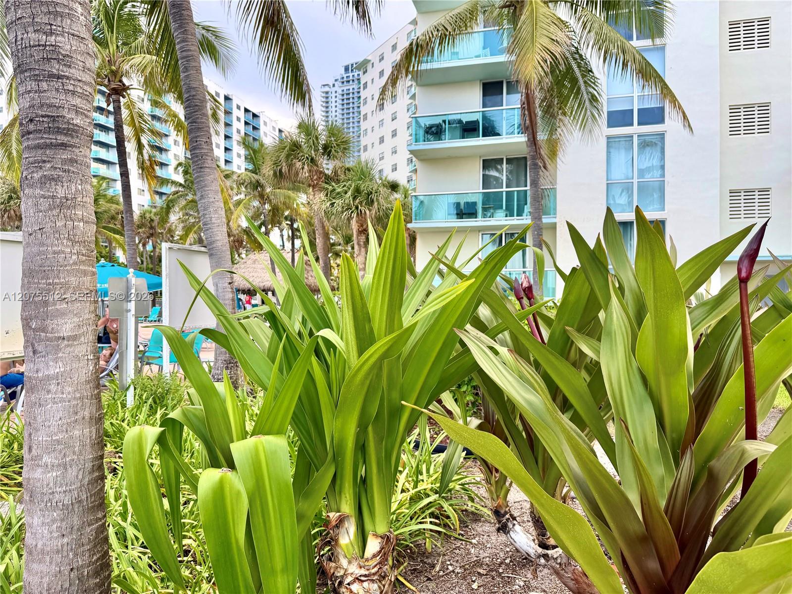 Photo 29 of Ocean Dr