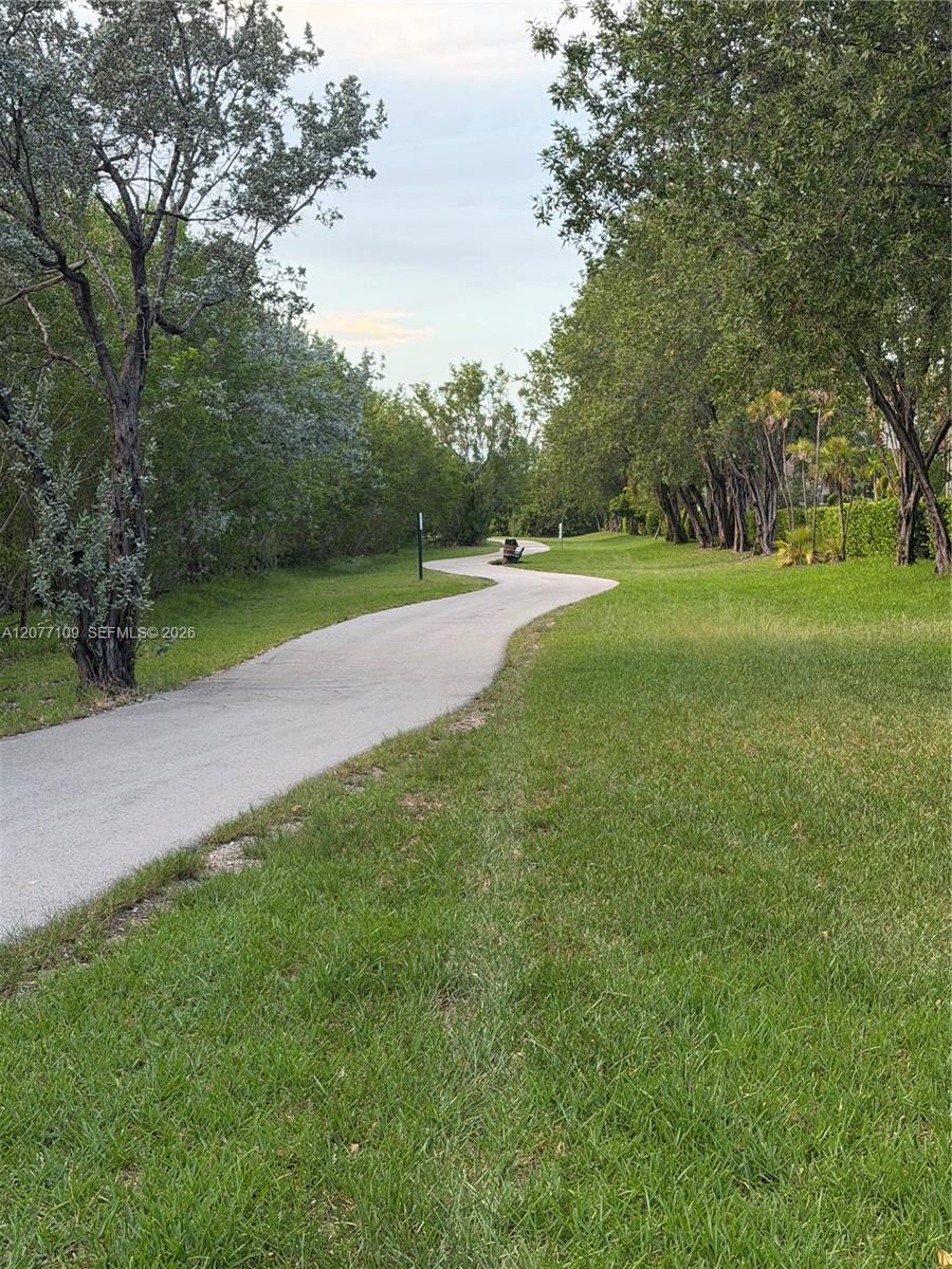 Park Running Trail