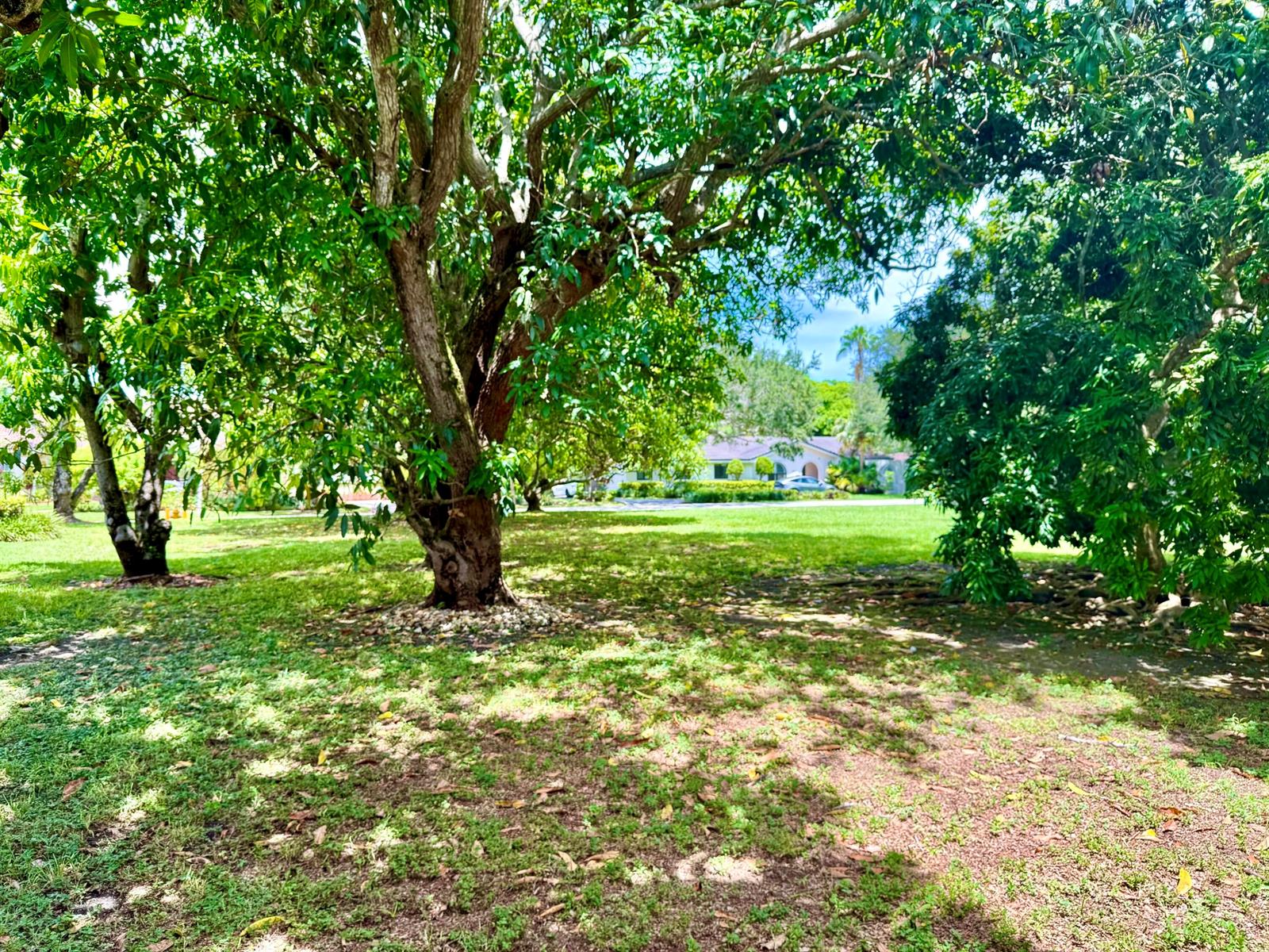   / 0  sq. ft. $ 2026-08-28 0 foto