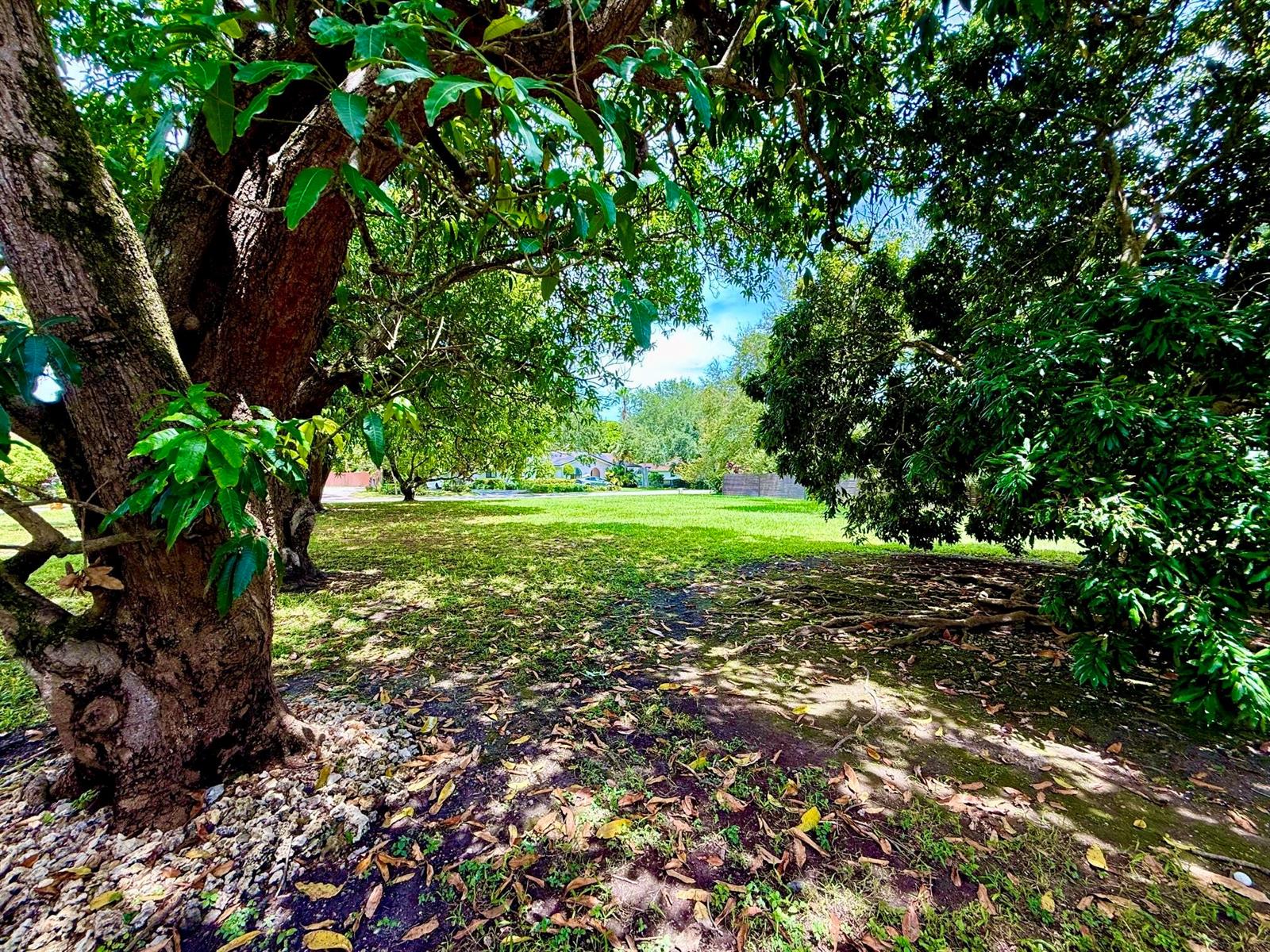   / 0  sq. ft. $ 2026-08-28 0 foto