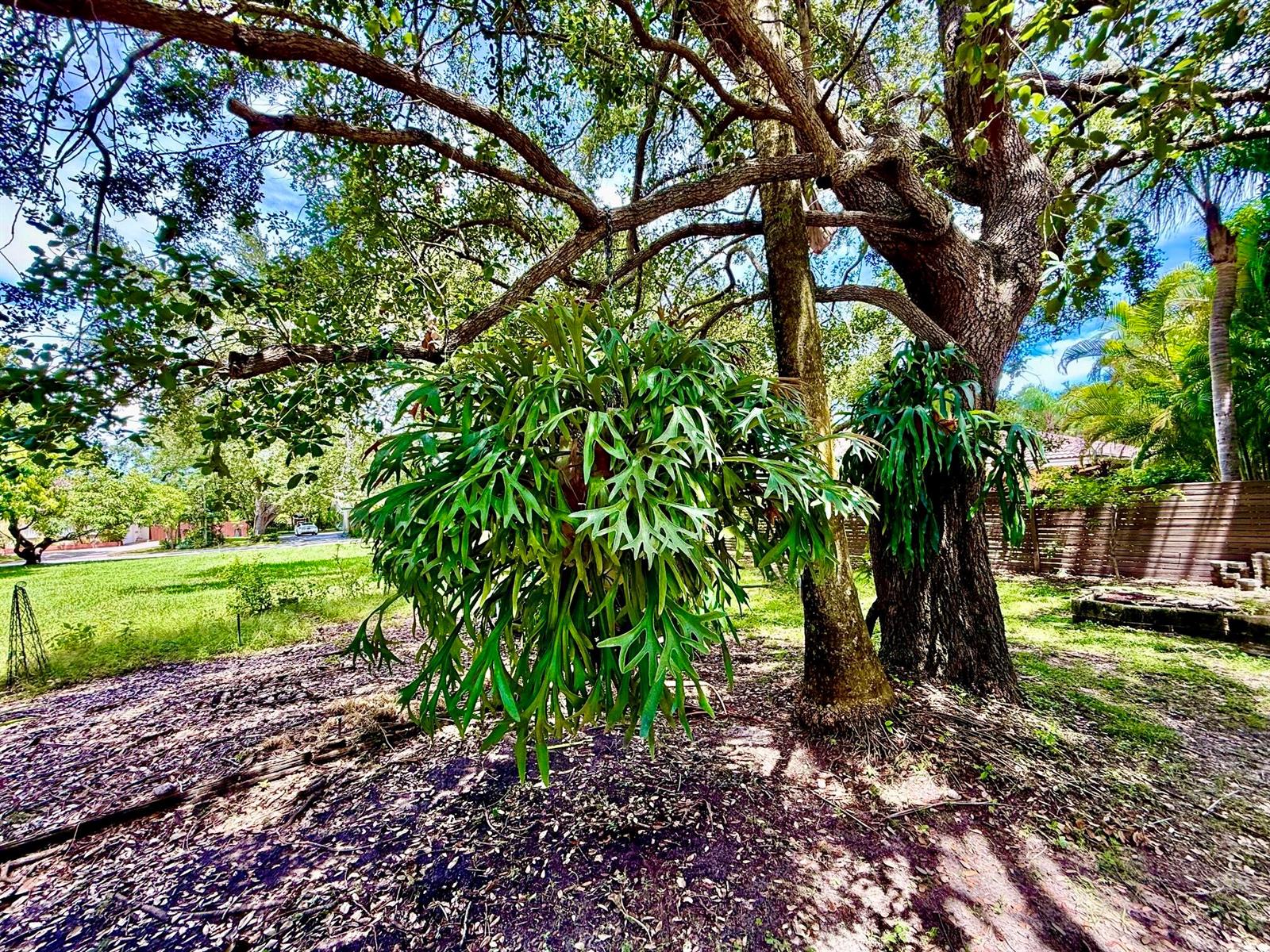   / 0  sq. ft. $ 2026-08-28 0 foto