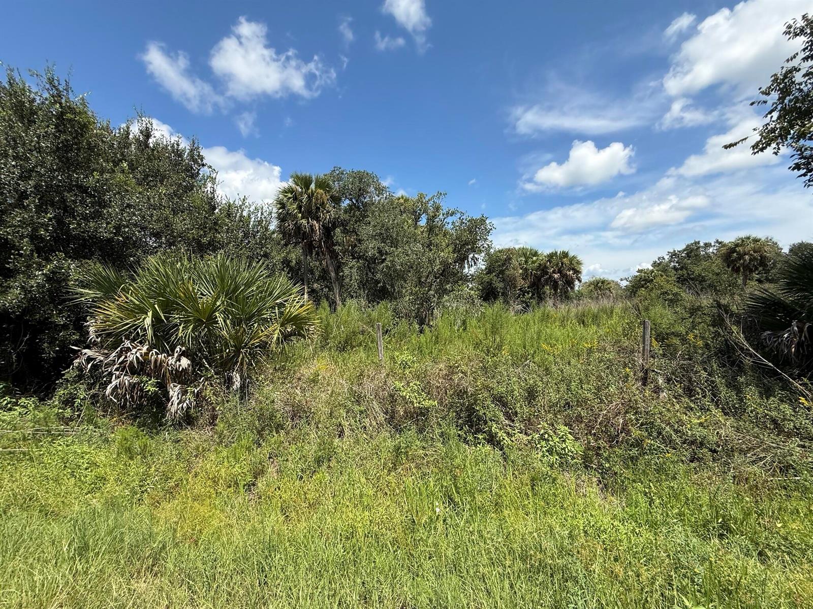   / 0  sq. ft. $ 2026-09-18 0 Photo