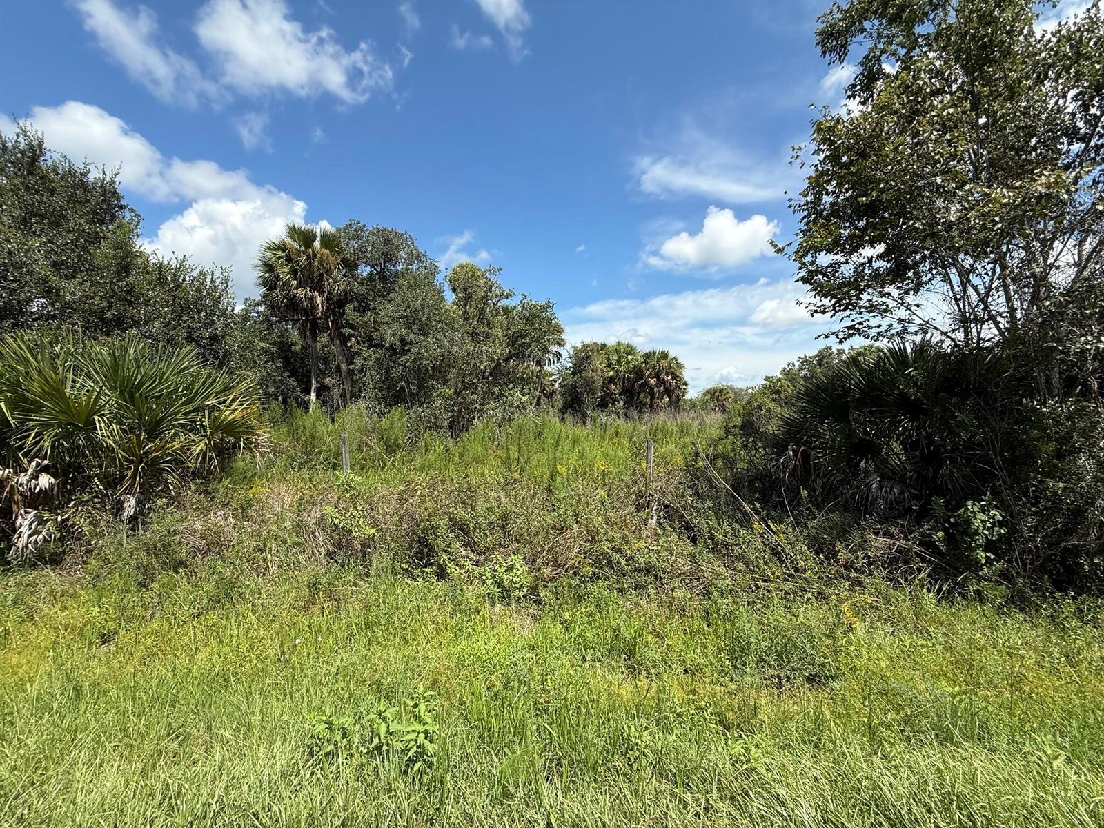   / 0  sq. ft. $ 2026-09-18 0 Photo
