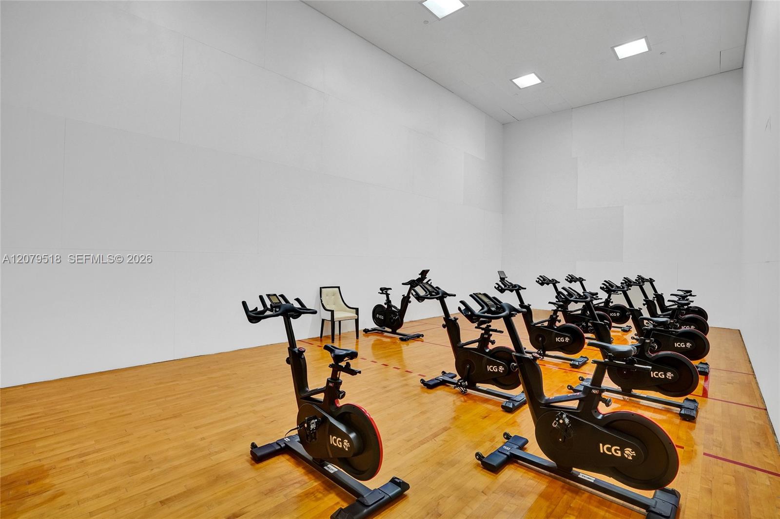 Spin Bikes