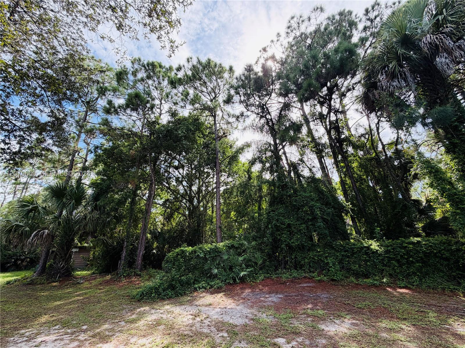 16298 4 / 2 1351 sq. ft. $ 2026-09-17 0 foto