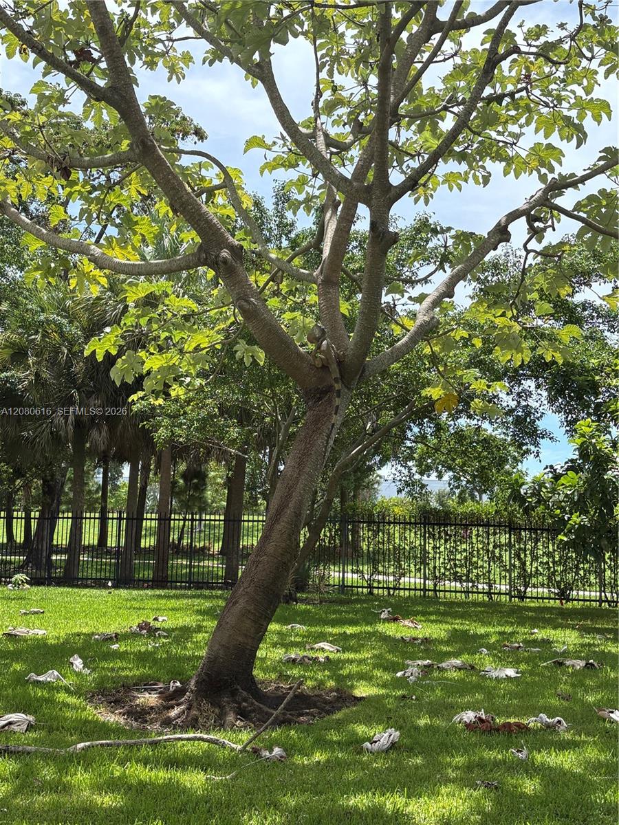 Ver detalles 816 2 / 2 1132 sq. ft. $ 2026-08-31 0 foto