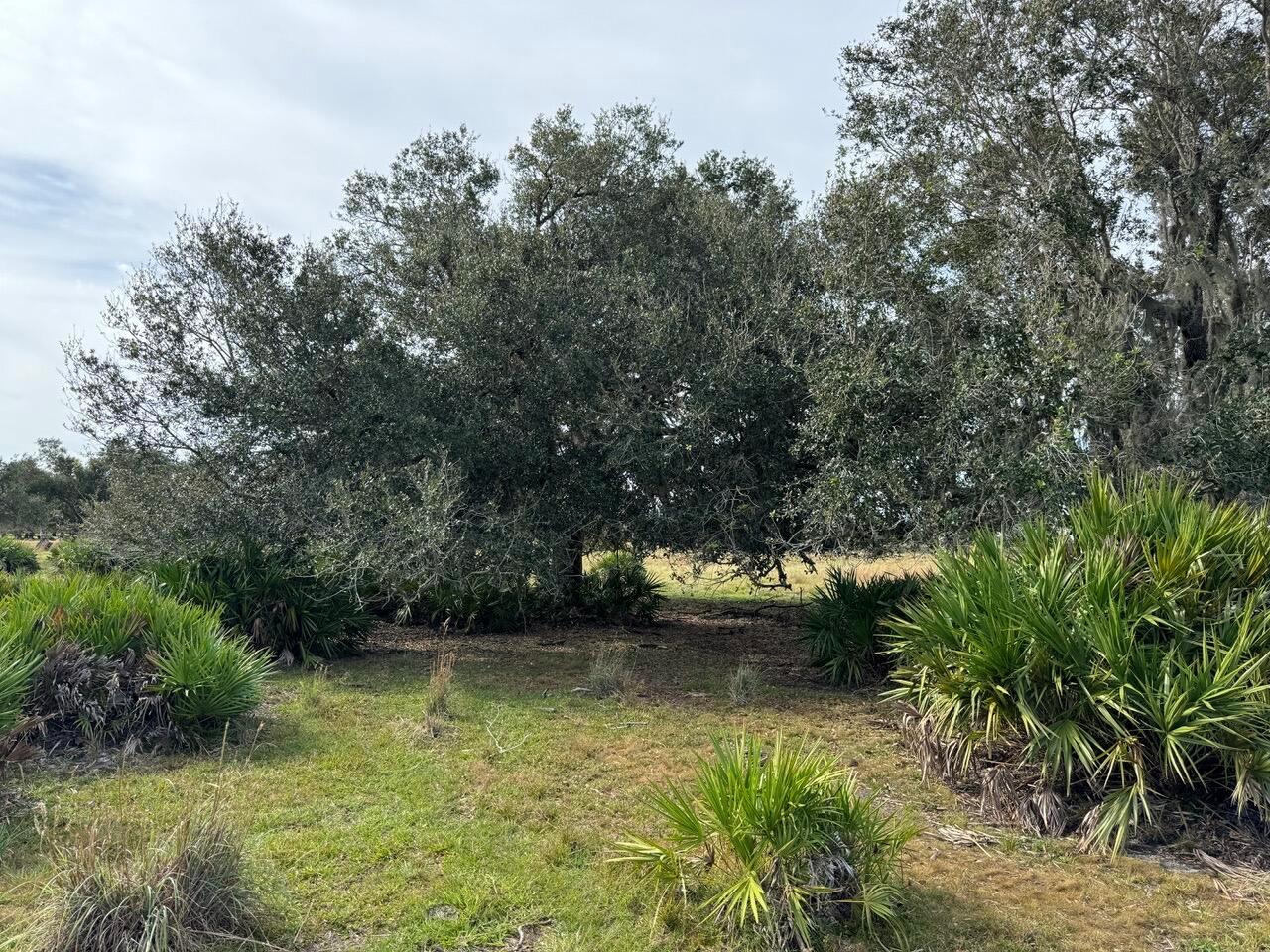   / 0  sq. ft. $ 2026-09-05 0 foto
