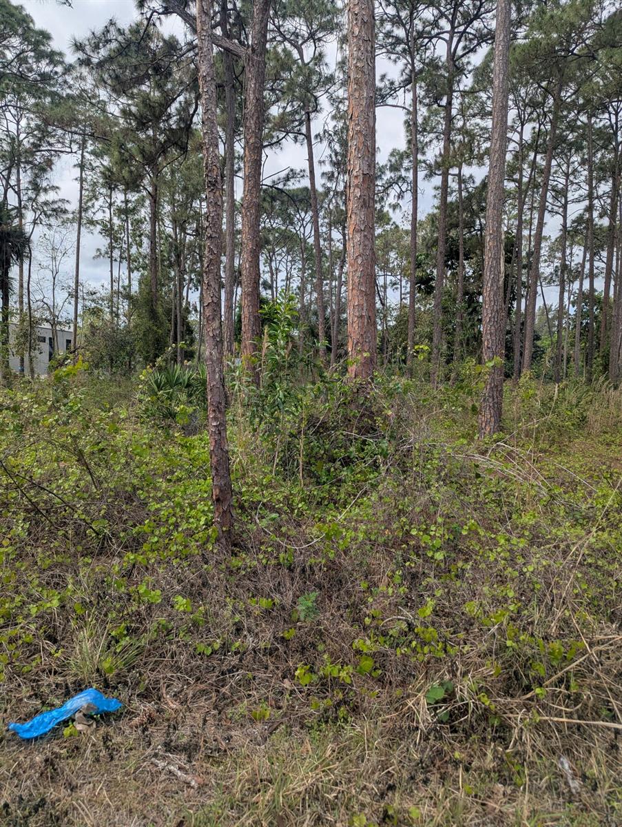   / 0  кв.футов $ 2026-09-05 0 Фото