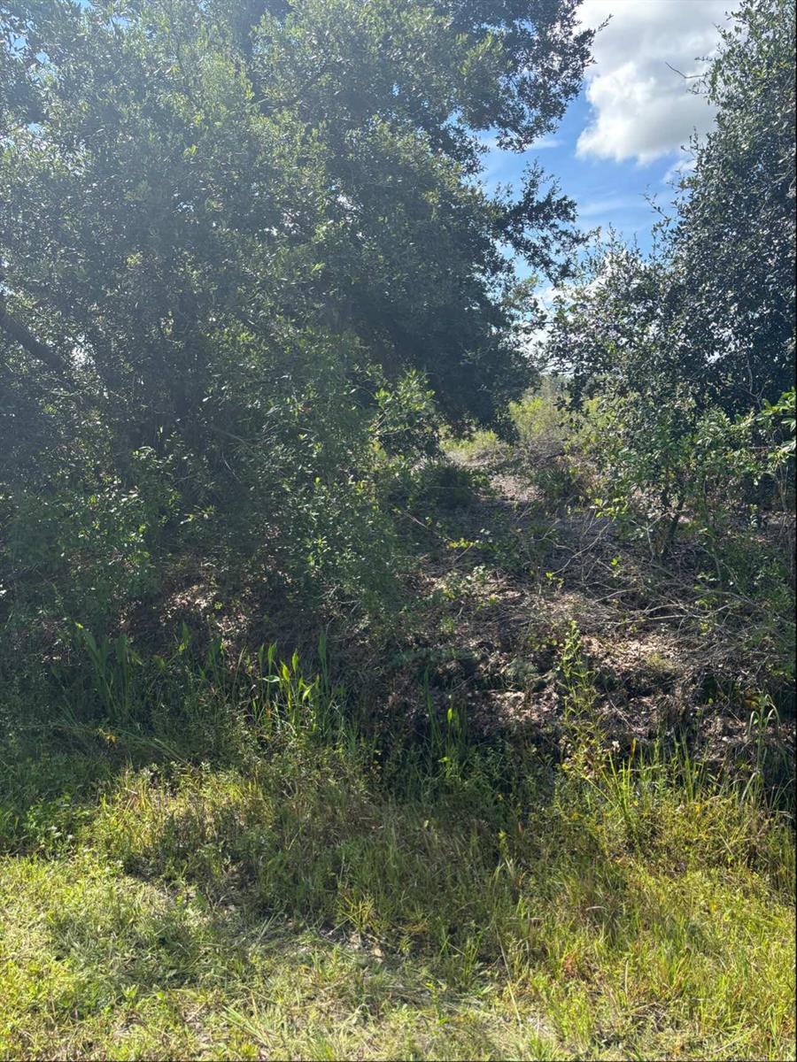   / 0  sq. ft. $ 2026-09-07 0 Photo