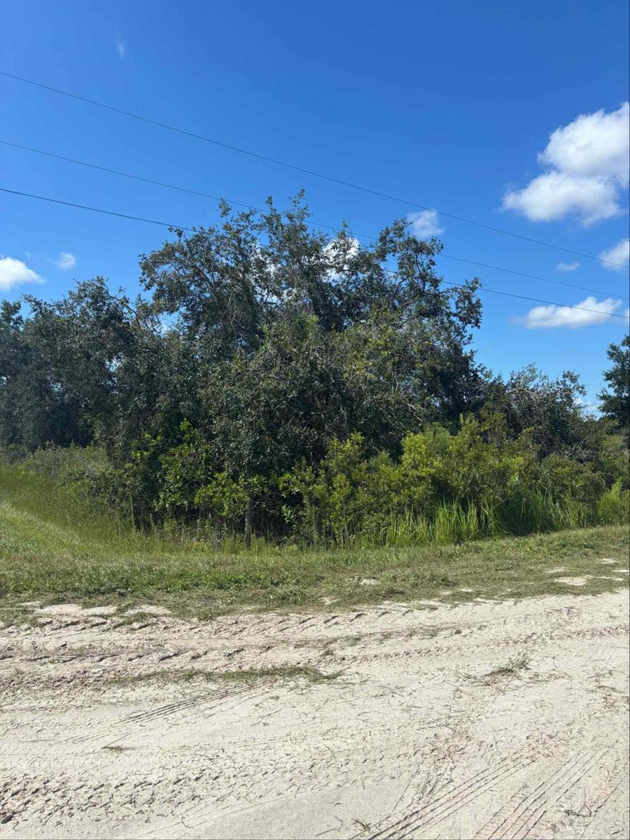   / 0  sq. ft. $ 2026-09-07 0 Photo