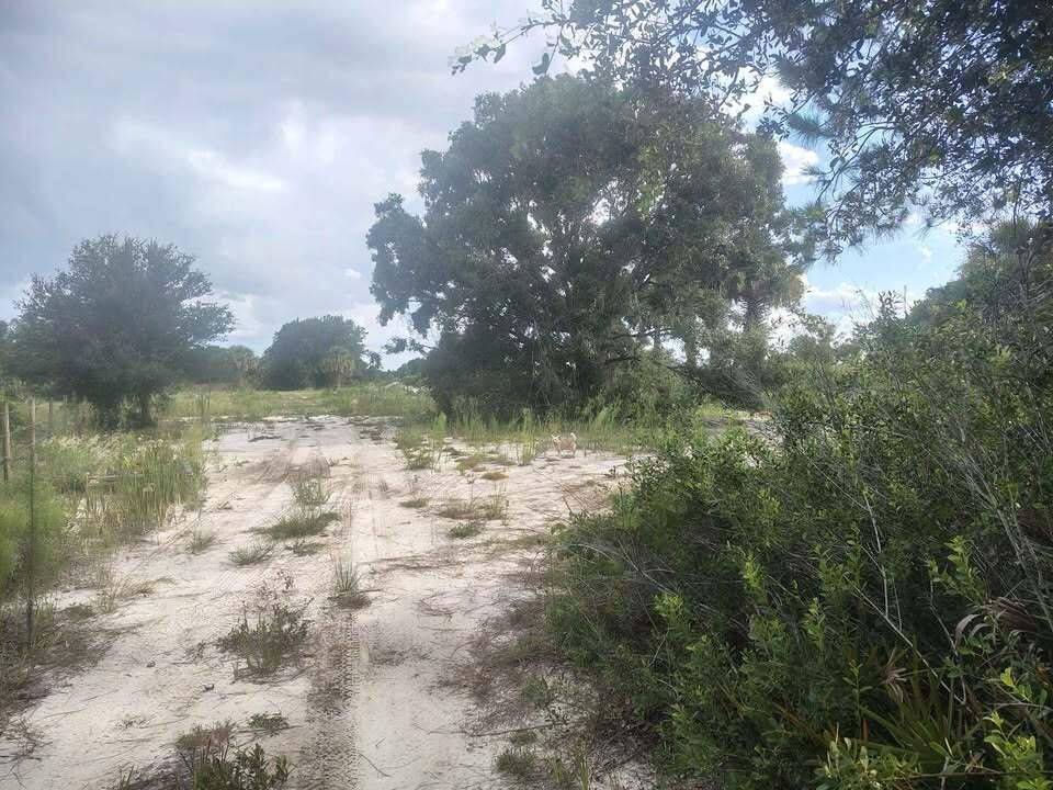   / 0  sq. ft. $ 2026-09-07 0 Photo