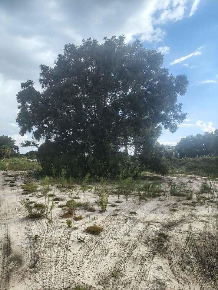   / 0  sq. ft. $ 2026-09-07 0 Photo