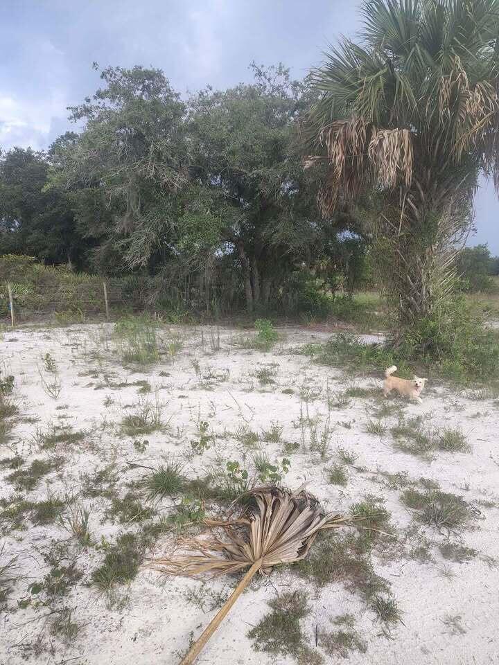   / 0  sq. ft. $ 2026-09-07 0 Photo