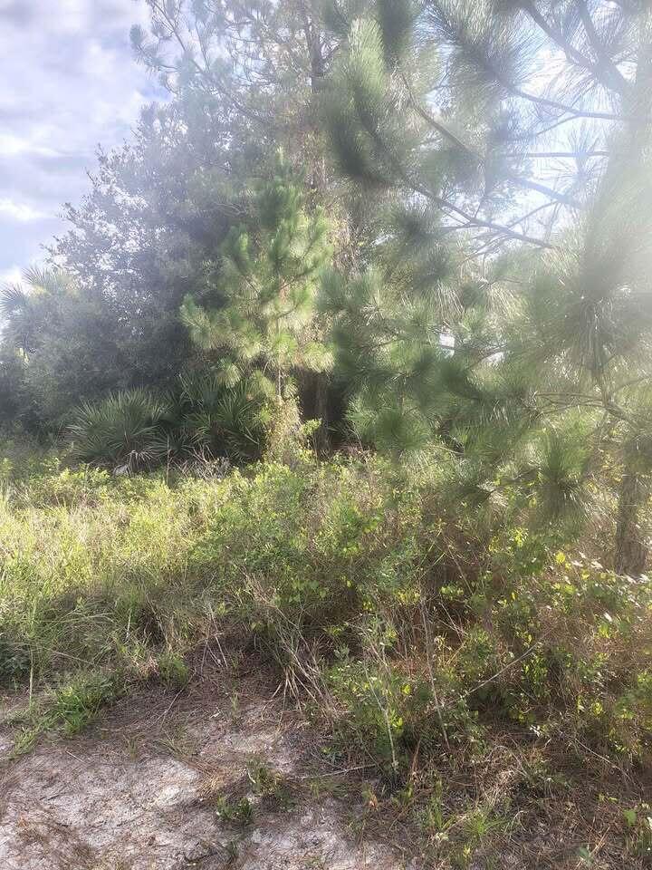   / 0  sq. ft. $ 2026-09-07 0 Photo