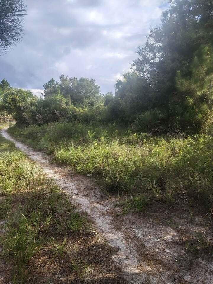   / 0  sq. ft. $ 2026-09-07 0 Photo