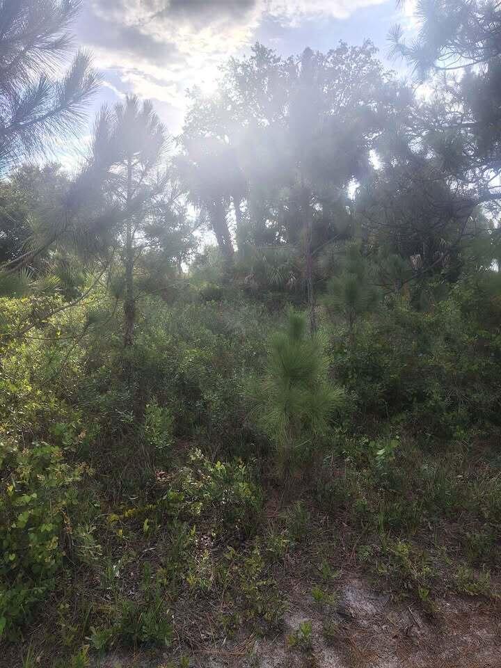   / 0  sq. ft. $ 2026-09-07 0 Photo