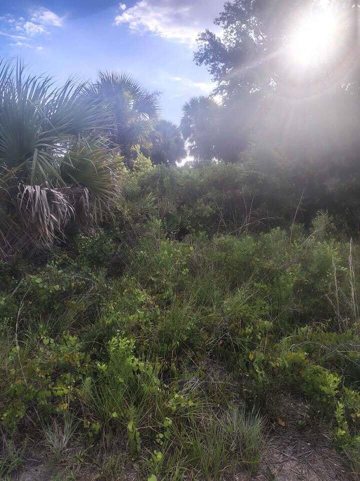   / 0  sq. ft. $ 2026-09-07 0 Photo