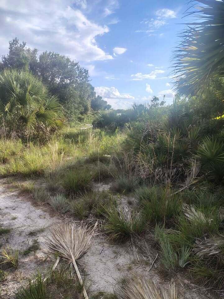   / 0  sq. ft. $ 2026-09-07 0 Photo