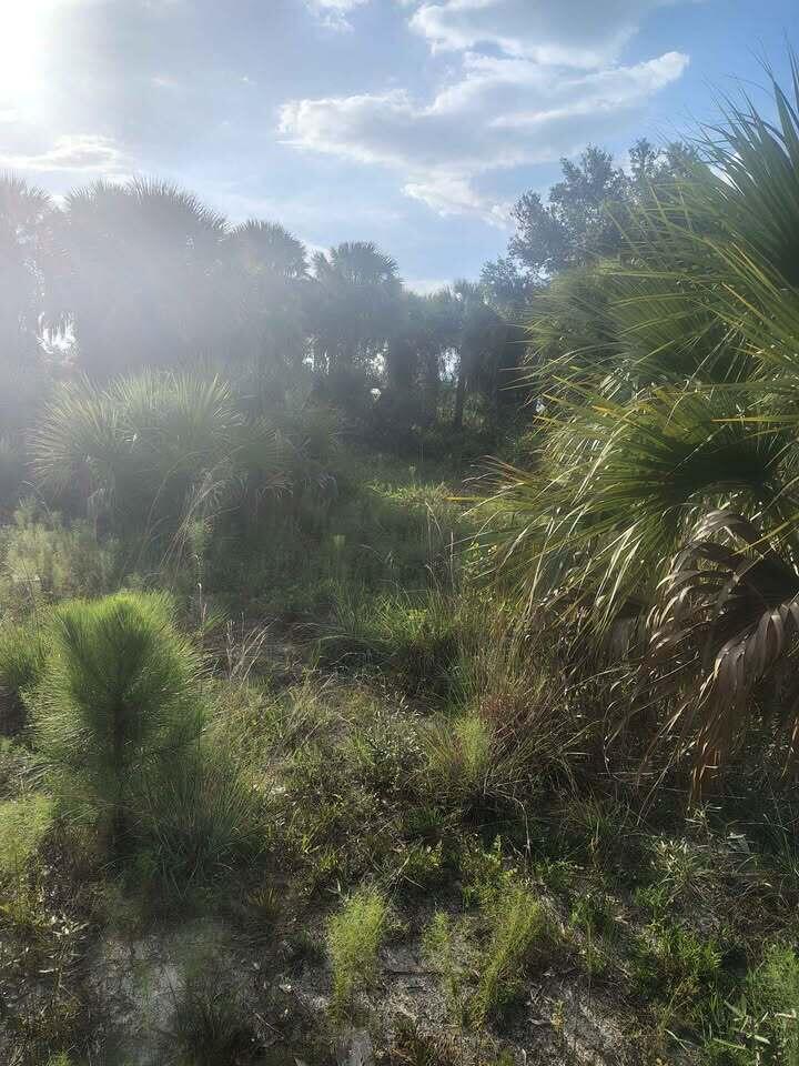   / 0  sq. ft. $ 2026-09-07 0 Photo