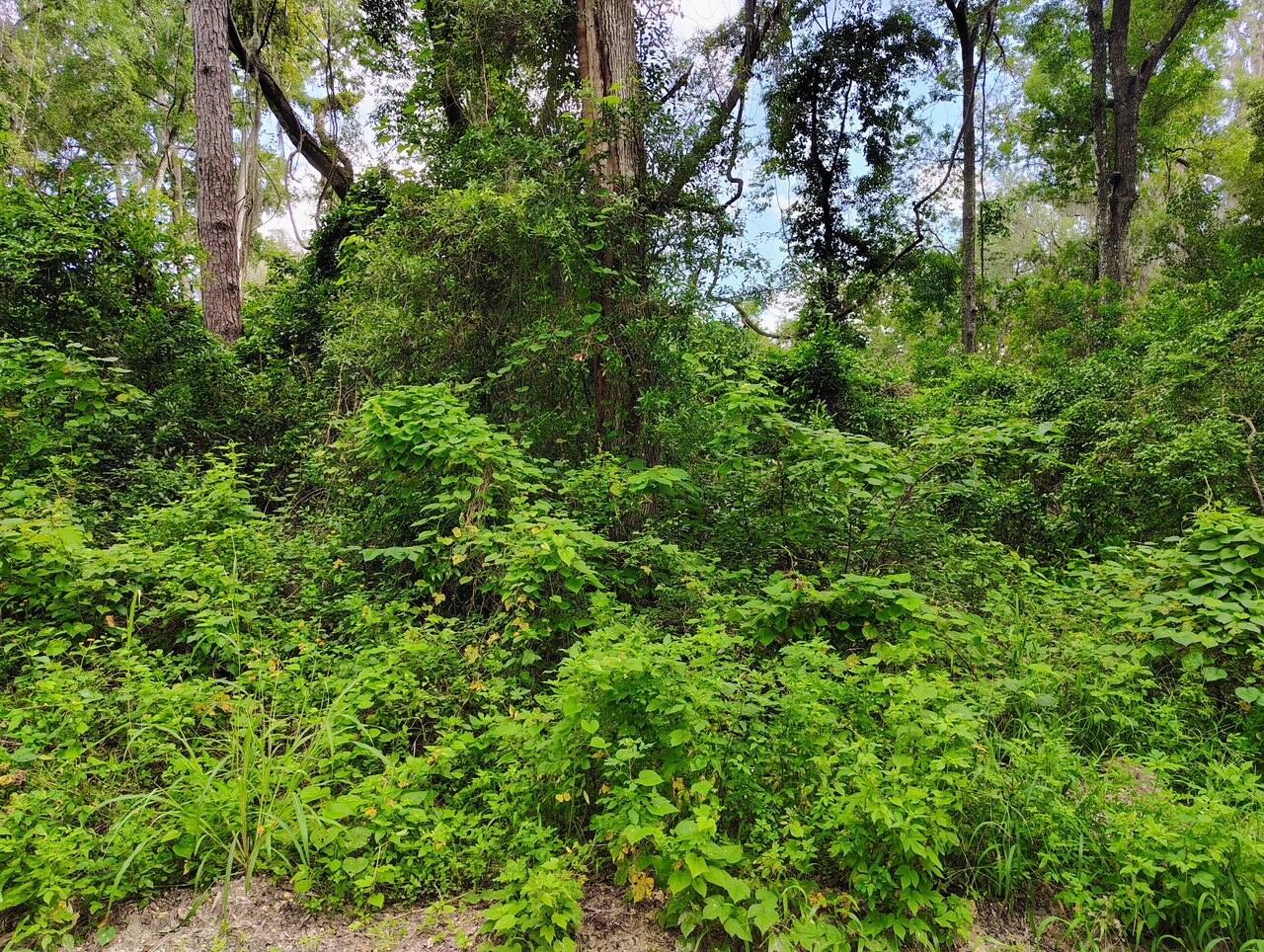   / 0  sq. ft. $ 2026-09-07 0 foto