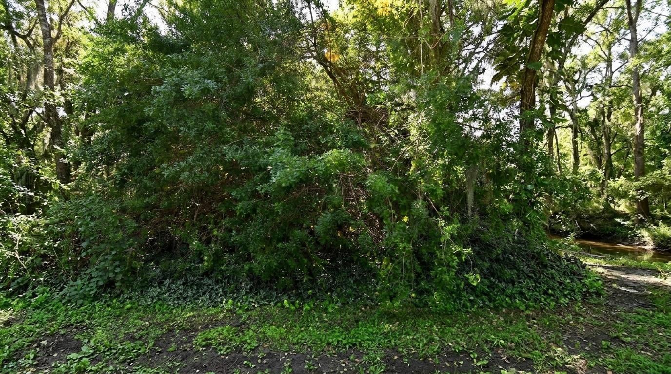   / 0  sq. ft. $ 2026-09-10 0 foto