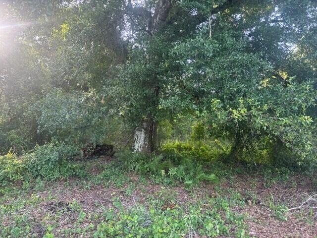   / 0  sq. ft. $ 2026-09-13 0 Photo