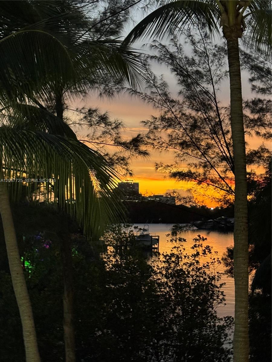 Photo 18 of Collins Ave