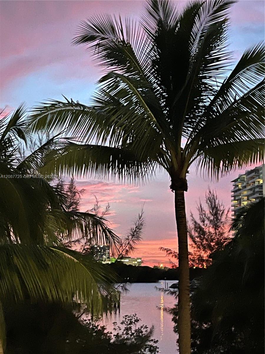 Photo 57 of Collins Ave