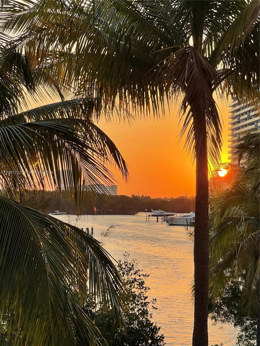 Photo 59 of Collins Ave