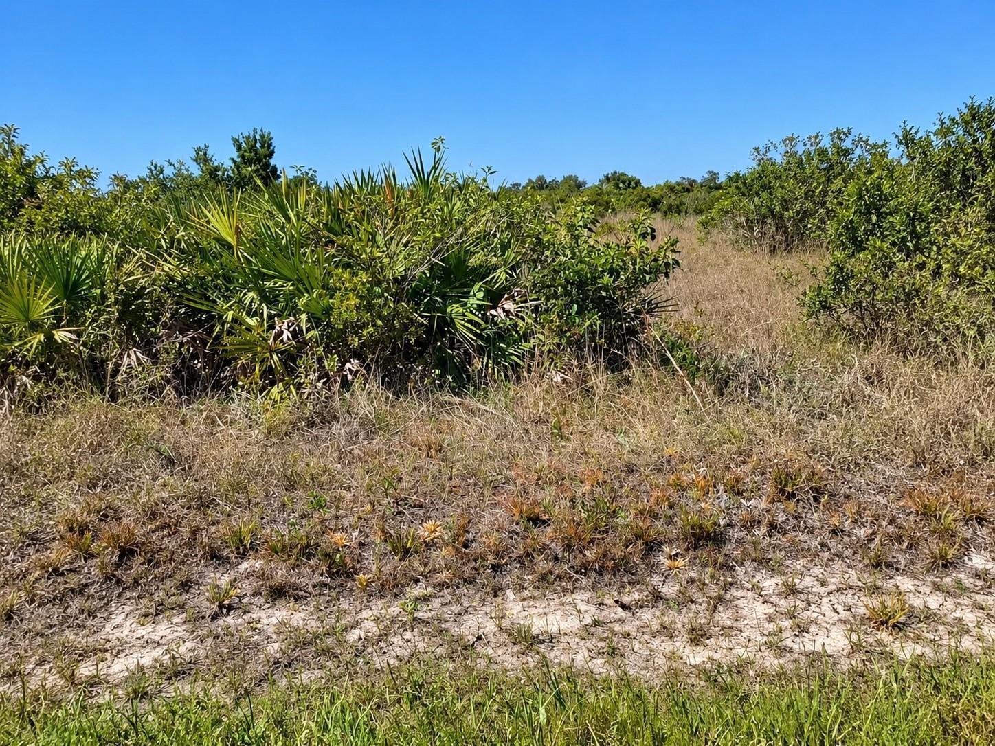   / 0  sq. ft. $ 2026-09-13 0 foto