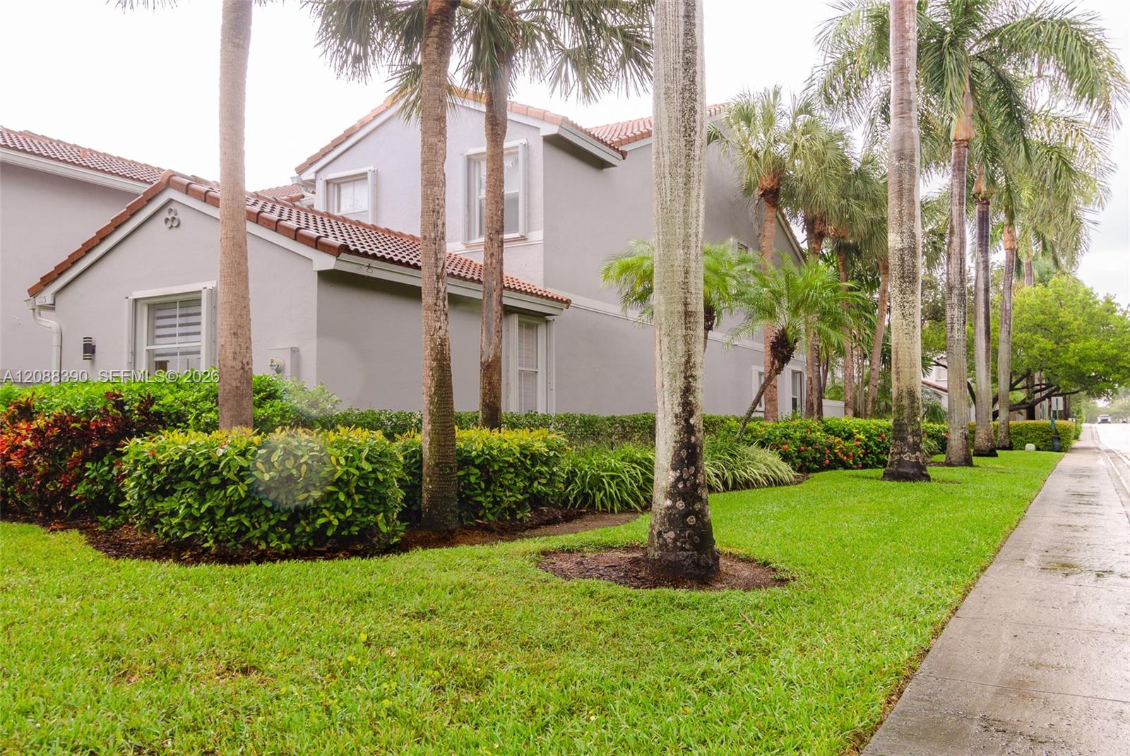 Photo 2 of Cherrypalm