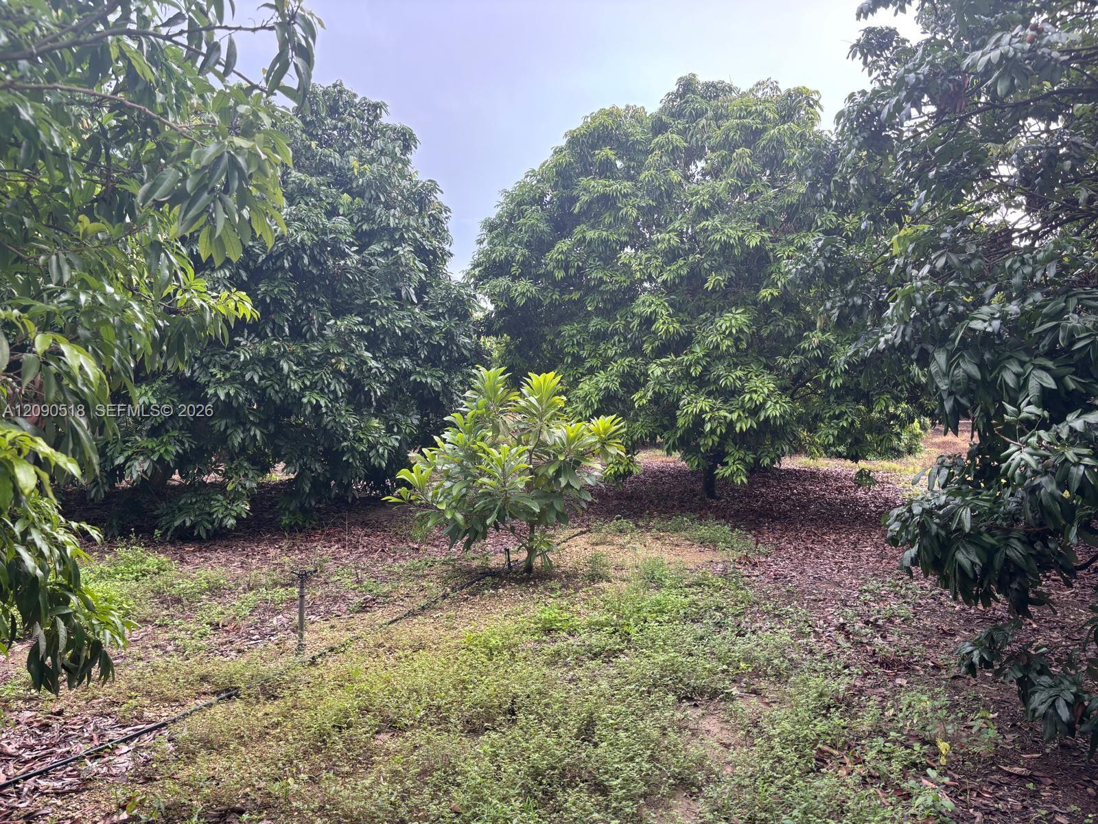   /   sq. ft. $ 2026-09-16 0 Photo