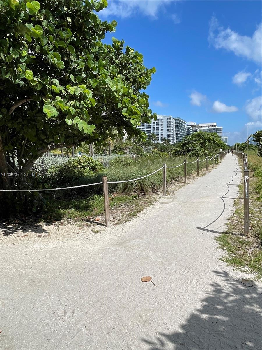 Photo 17 of Collins Ave
