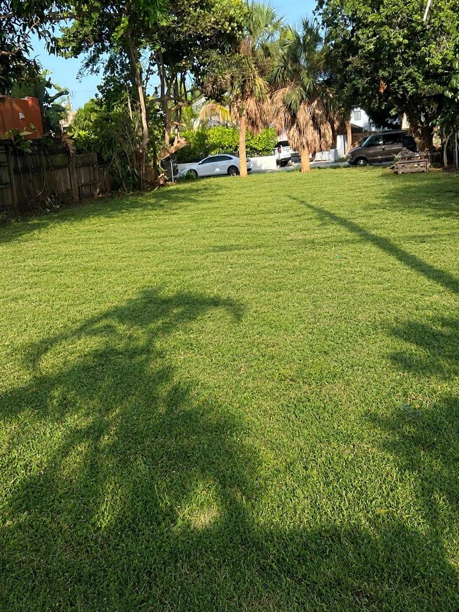 Ver detalles / 0 sq. ft. $ 2026-09-21 0 foto