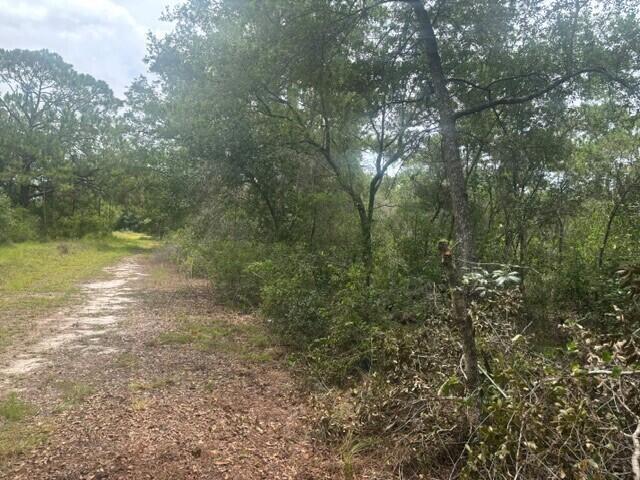 Ver detalles / 0 sq. ft. $ 2026-09-24 0 foto