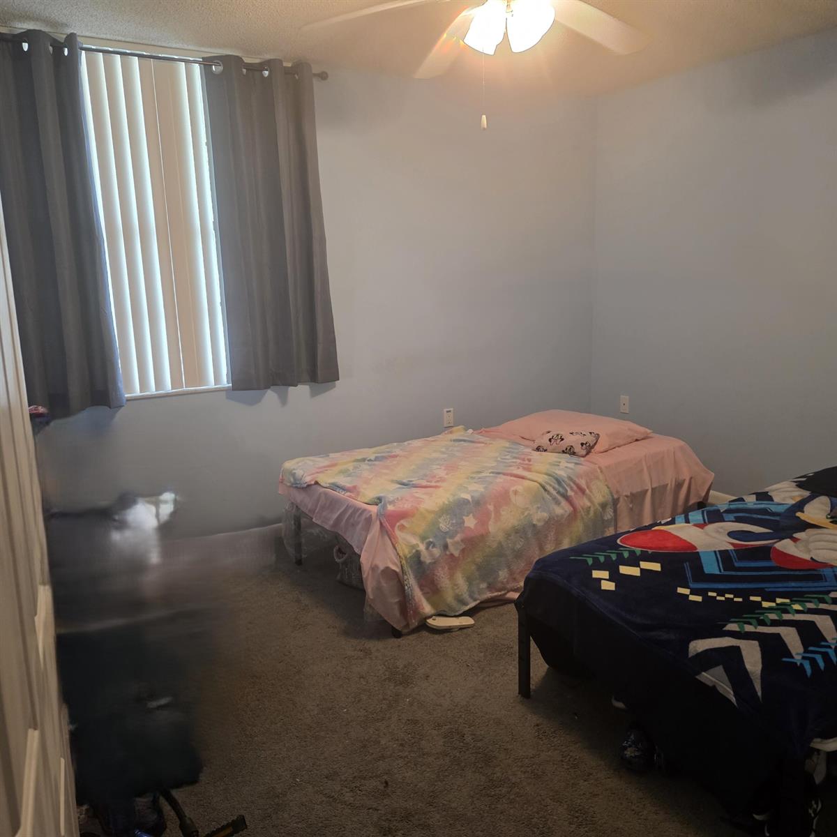 305 2 / 2 1437 sq. ft. $ 2026-09-25 0 foto