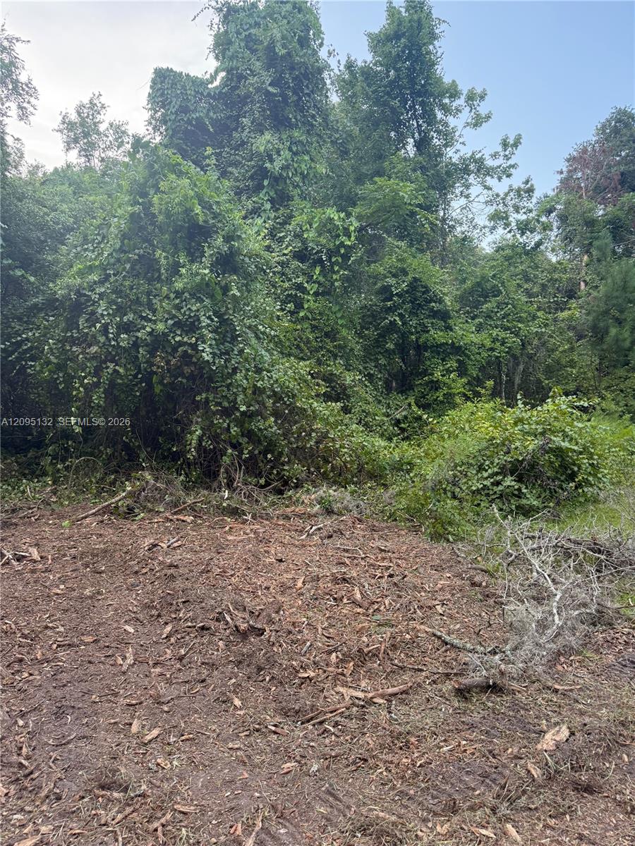 Ver detalles / sq. ft. $ 2026-09-24 0 foto