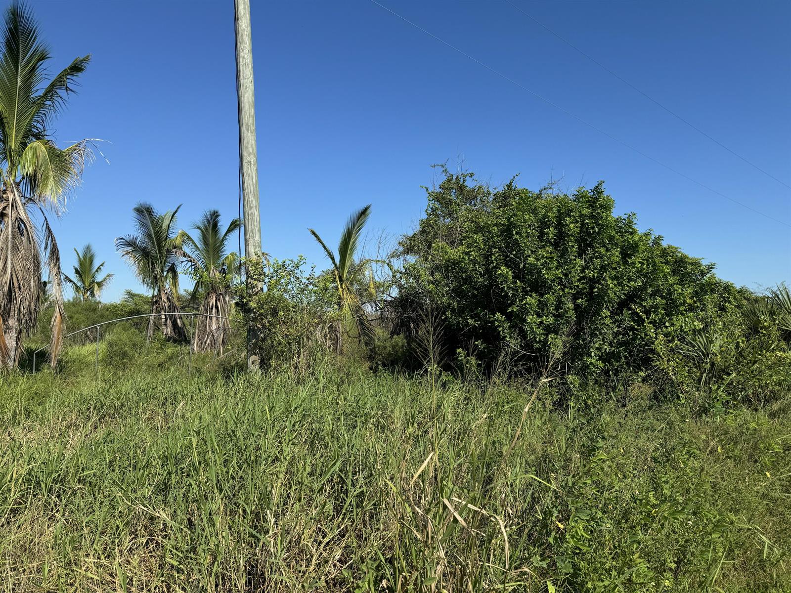   / 0  sq. ft. $ 2026-09-26 0 foto