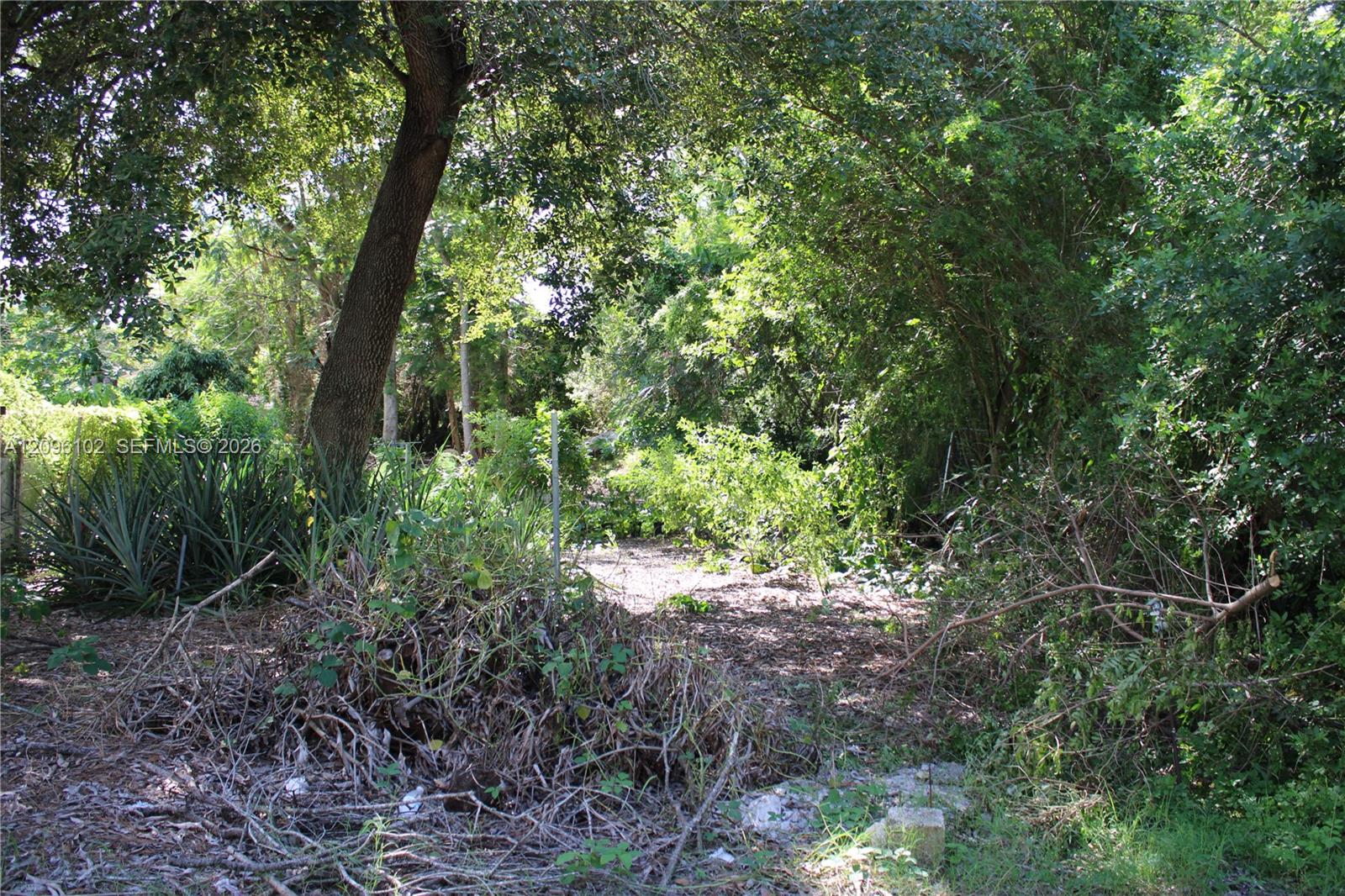 214 2 / 2  sq. ft. $ 2026-09-26 0 foto