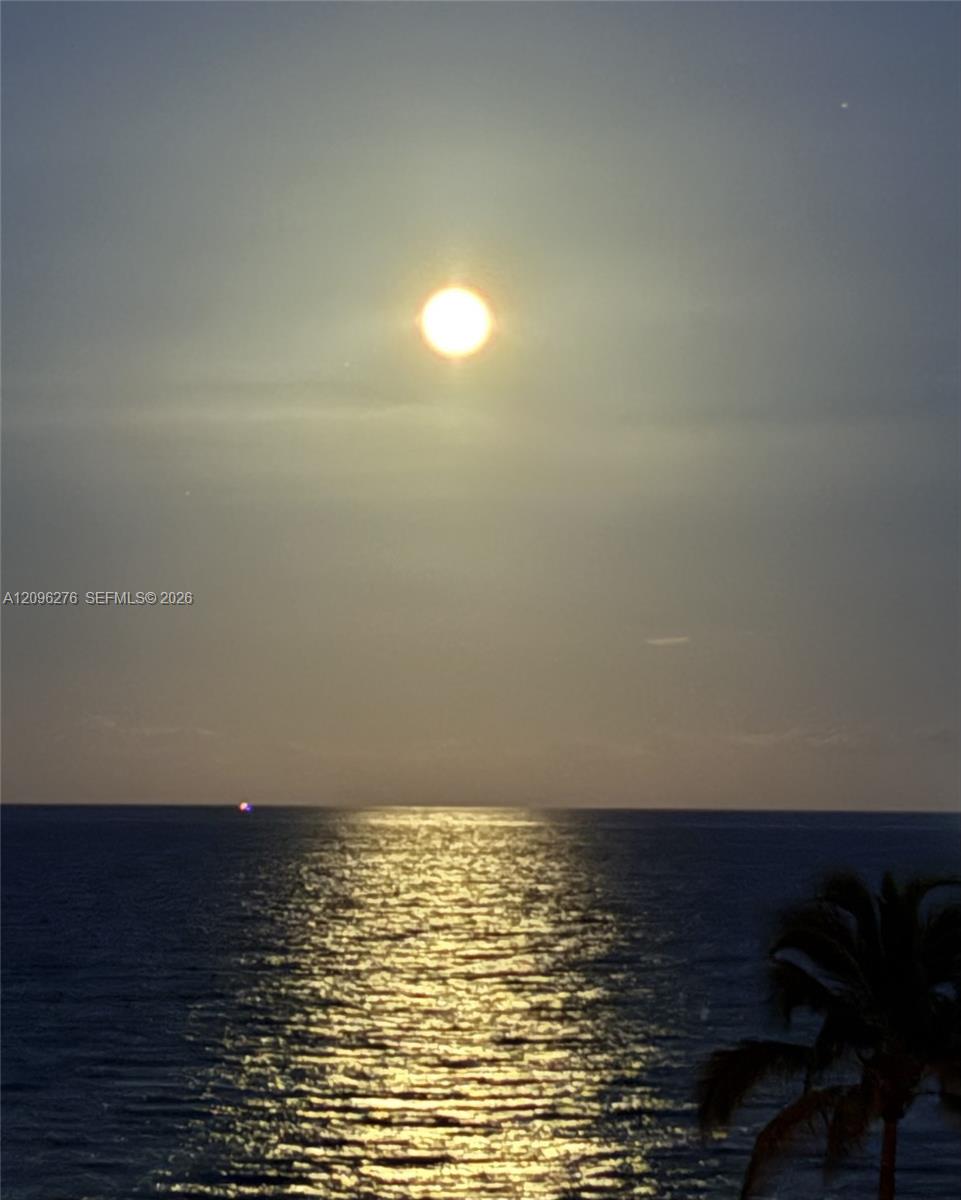 Photo 56 of Collins Ave