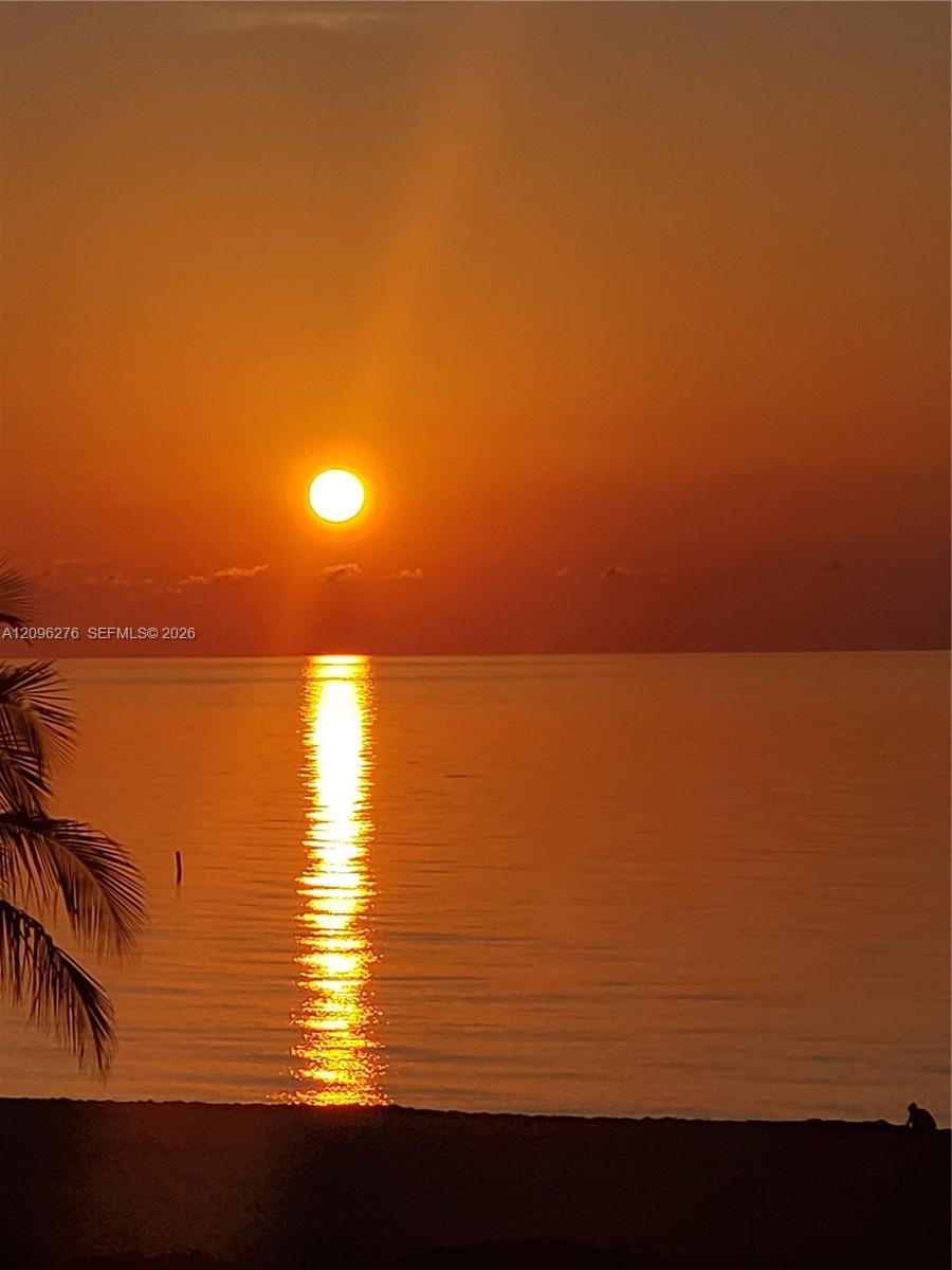 Photo 70 of Collins Ave