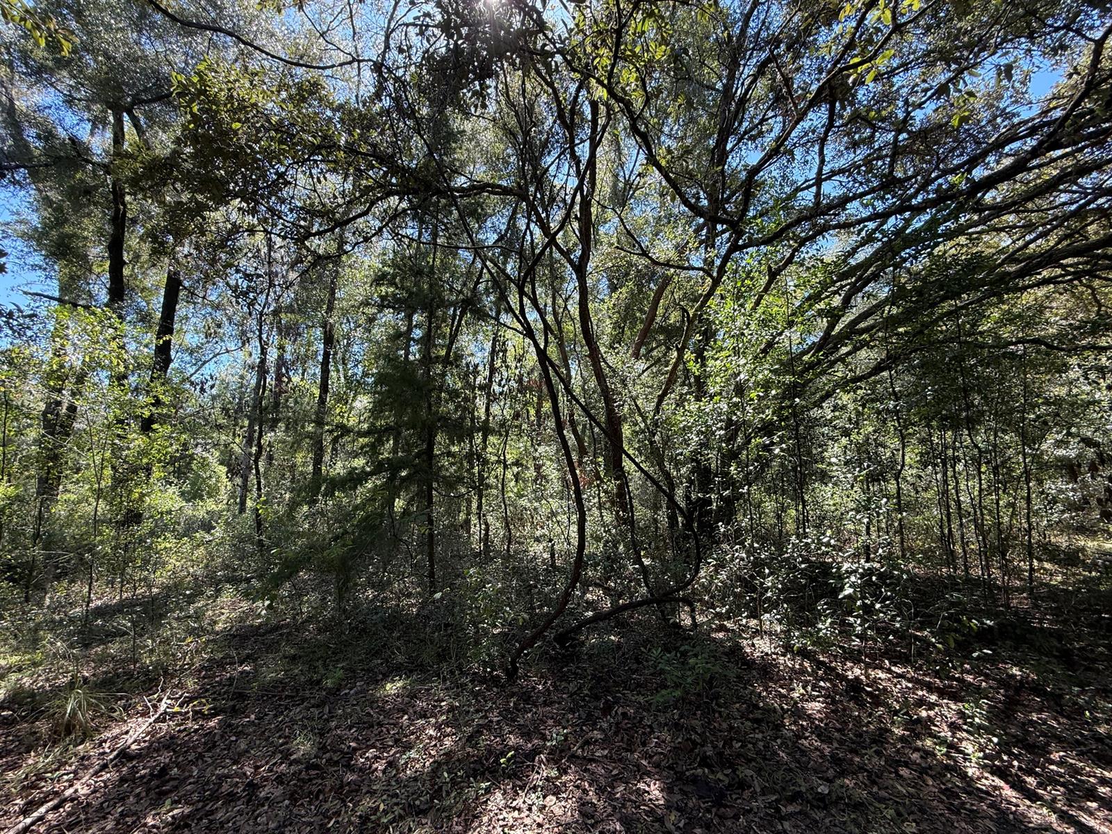   / 0  sq. ft. $ 2026-10-19 0 foto