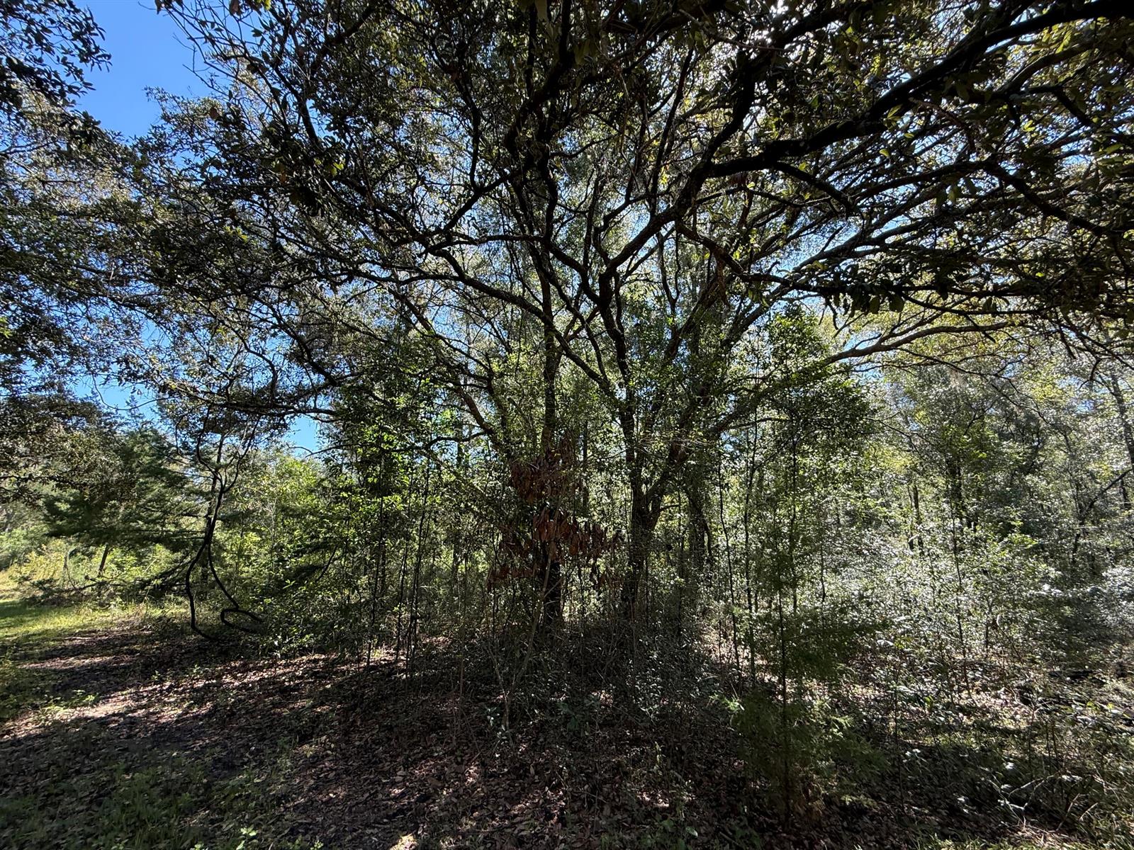   / 0  sq. ft. $ 2026-10-19 0 foto
