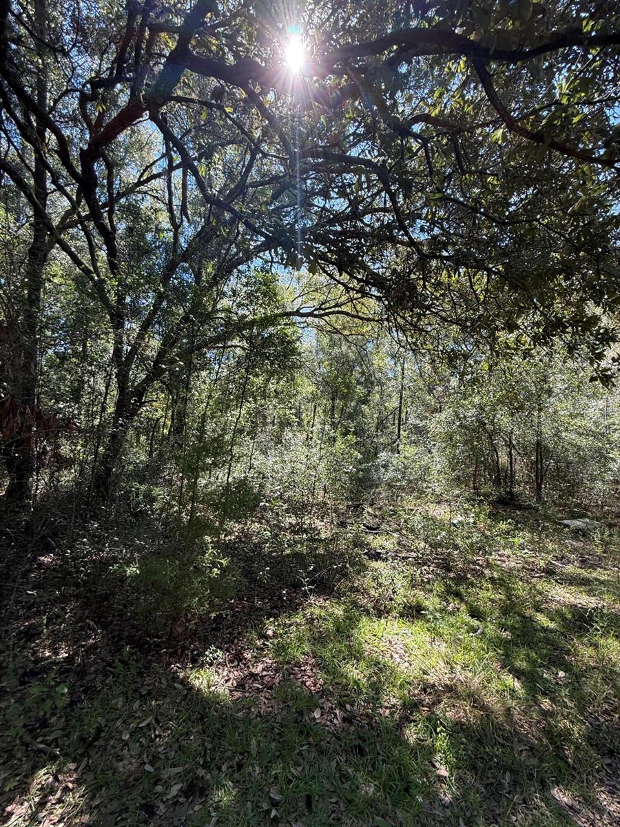   / 0  sq. ft. $ 2026-10-19 0 foto